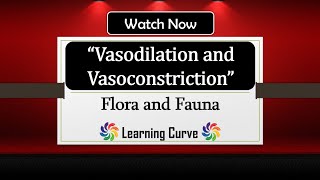 Vasodilation and Vasoconstriction Thermoregulation  Biology  GCSE  In Hindi  Explained [upl. by Ardnasella969]