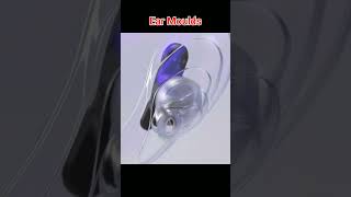 Ear impression Earmold mold ear hearing discover animation viralvideos skincare akashparihar [upl. by Olen]