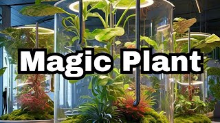 Plants That Create Power amp Purify Air — The Future of Indoor Tech [upl. by Eltsyrhc276]