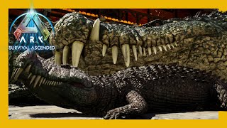 Deinosuchus Breeding The Beginning ep 38 arksurvivalascended playark [upl. by Eylloh]