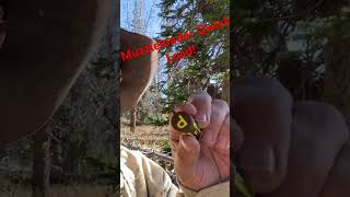 Muzzleloader Quick loads hawken mountainmanoutdoors [upl. by Epuladaug84]