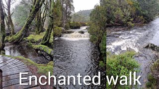 Enchanted Walk Cradle Mountain Tasmania [upl. by Eolcin]