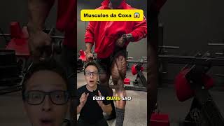 Músculos da Coxa 😱medicina medico academia treino musculação musculacao anatomia enfermagem [upl. by Arrais581]