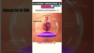 Inhalation and Exhalation 🫁 Mechanism in the Alveoli  Biology ashishsir biology science video [upl. by Cleland]