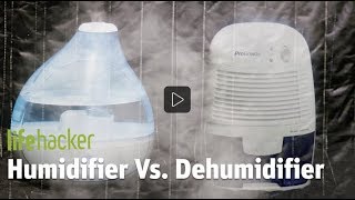 Lifehacker Humidifier and Dehumidifier in the Same Room [upl. by Martinson]