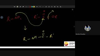 Amines L2  12th NEET Chemistry  2nd Dec 2024 [upl. by Bowman]