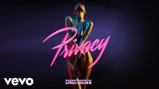 Chris Brown  Privacy Audio [upl. by Ahsuatal]