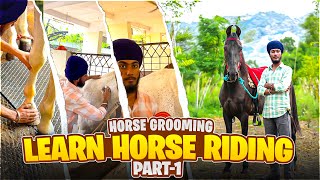 SEWAHORSE GROOMING🐎❤️  PART 1  LEARN HORSE RIDING WITH US [upl. by Aika]