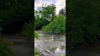 So peaceful I River I columbiasc youtubeshorts shorts [upl. by Karlis]