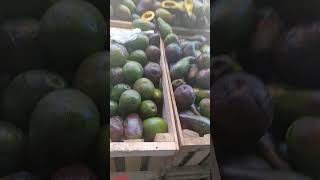 fruit stand shortvideo [upl. by Angi617]