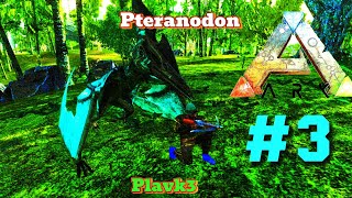 Pteranodon Ark Mobile EP3 Season 2 [upl. by Anuqahs]