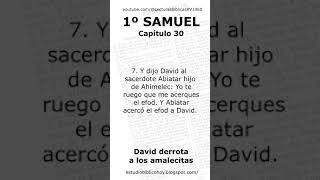 1º Sam 3068 David derrota a los amalecitas RV1960 Audio Biblia Short [upl. by Diann]