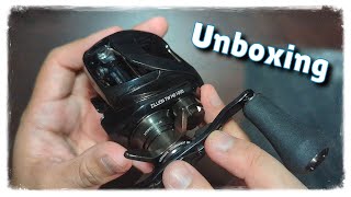 Daiwa Zillion TW HD JDM  The Reel Nobody Is Talking About [upl. by Eilagam144]