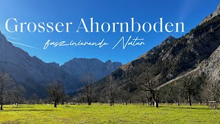 Großer Ahornboden im Karwendel ein Naturparadies 🍁🏔️ [upl. by Bamby]