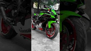 RAPTOR ♥️ prorider1000 armwrestlers agastaychauhan raptor kawasakizx10r [upl. by Esinned]