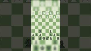 Stafford gambit trap chess game beautiful [upl. by Onavlis]