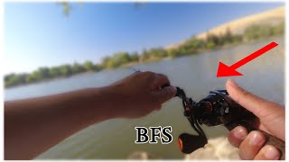 Bass Fishing With My First BFS Reel At Hellyer Park in San Jose CA [upl. by Aile529]