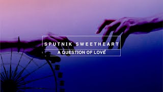 SPUTNIK SWEETHEART Explained  Haruki Murakami [upl. by Booker]