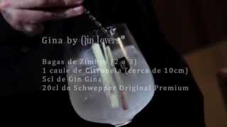 GINA Gin by Gin Lovers  002 [upl. by Nela721]