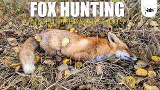 FOX HUNTING  NIGHT THERMAL SHOTS 🦊 [upl. by Brooks]