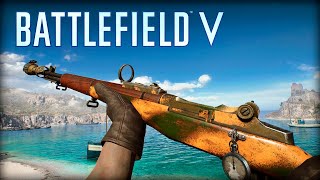 Battlefield V  All Weapons [upl. by Adleremse687]