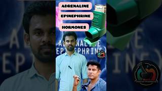 Adrenaline Epinephrine Hormone Hormone shorts [upl. by Oilut]