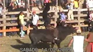 El Diablito  Montador de Toros Chontaleño [upl. by Niro324]