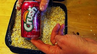 8 Carp bait recipes  Homemade carp bait  How to catch carp [upl. by Arzed]