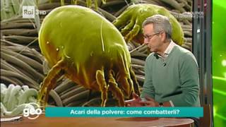 Acari della polvere come combatterli [upl. by Marta]