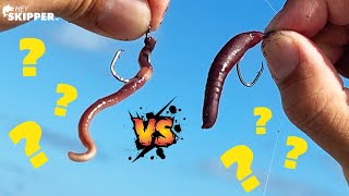 FAKE Worm vs REAL Worm for BAIT Can Fish Tell the Difference [upl. by Lucinda]