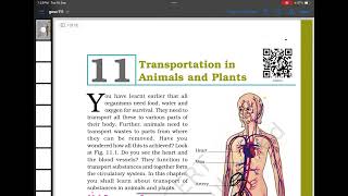 Transportation in plants and animals class 7 circulatory system heart blood xylem  phloem [upl. by Yesnek]