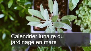 Calendrier lunaire du jardinage mars [upl. by Joktan916]