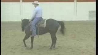 Training TipsTeaching a Horse to Turn amp Give to Pressure 2 [upl. by Nnomae]