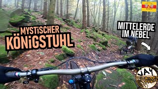 HEIDELBERG Königstuhl Mittelerde Tech amp bissl Gaisberg Falknerei Trails  Mountainbike MTB Enduro [upl. by Charity]