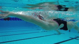 3 Beginner Backstroke Drills You Should Try [upl. by Ardnaet]