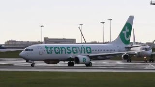 ✈ B737 Transavia France ☛ painted in the new livery ☚ taking off from Lisbon Airport ✈ [upl. by Godspeed98]