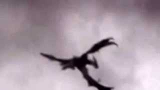 DRAGON Spotted in England flying REAL [upl. by Niawtna238]