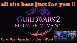 gw2  guide Farm Bois Ancestral  Elder Wood  for easy gold  po [upl. by Raphael]