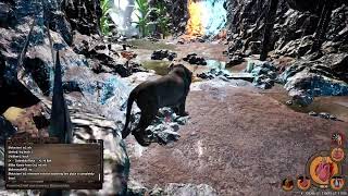 Animalia Survival  Jogando de leopardo [upl. by Broddie653]