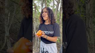 Tomate o manzana 🍎 🤣 humor comedia [upl. by Amleht526]