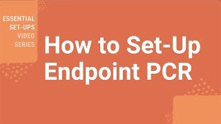 How Do I SetUp Endpoint PCR [upl. by Dene]