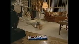 MampMs quotMazingquot Chocolate Candy Bar commercial “Mystical Pixie Girl” 2005 [upl. by Rhett]