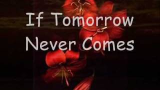 Ronan Keating  If Tomorrow Never Comes Lyrics [upl. by Emmye552]