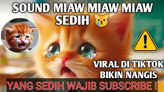 Miaw Miaw Miaw Miaw Sound Sad Viral Tiktok 2024 [upl. by Lejna440]