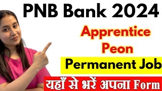 PNB Apprentice 2024 Notification  PNB Peon Vacancy 2024  PNB Bank Form Kaise Bhare [upl. by Anahc]