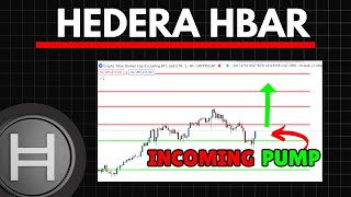 HEDERA HBAR NEW HIGHS INCOMING  Hbar Price Prediction [upl. by Atauqal843]