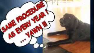 HornampHound Luckys New Years Greetings [upl. by Hut303]