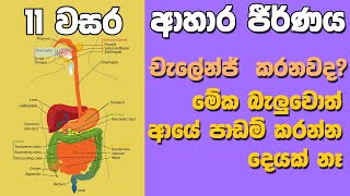 OL Science Sinhala  Grade 11 Science Unit 6 Part 1  Digestive System  ආහාර ජීර්ණ පද්ධතිය [upl. by Monson]