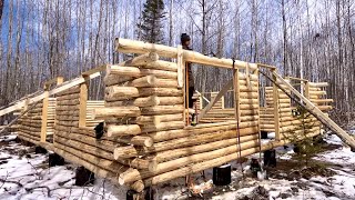 Building A Big Log Cabin Alone In The Woods Notching Heavy Logs Around Windows [upl. by Kitti]