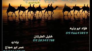 دحية بدوية دحيه طارق ابو محارب 2 فؤاد ابو بنية [upl. by Raddie]